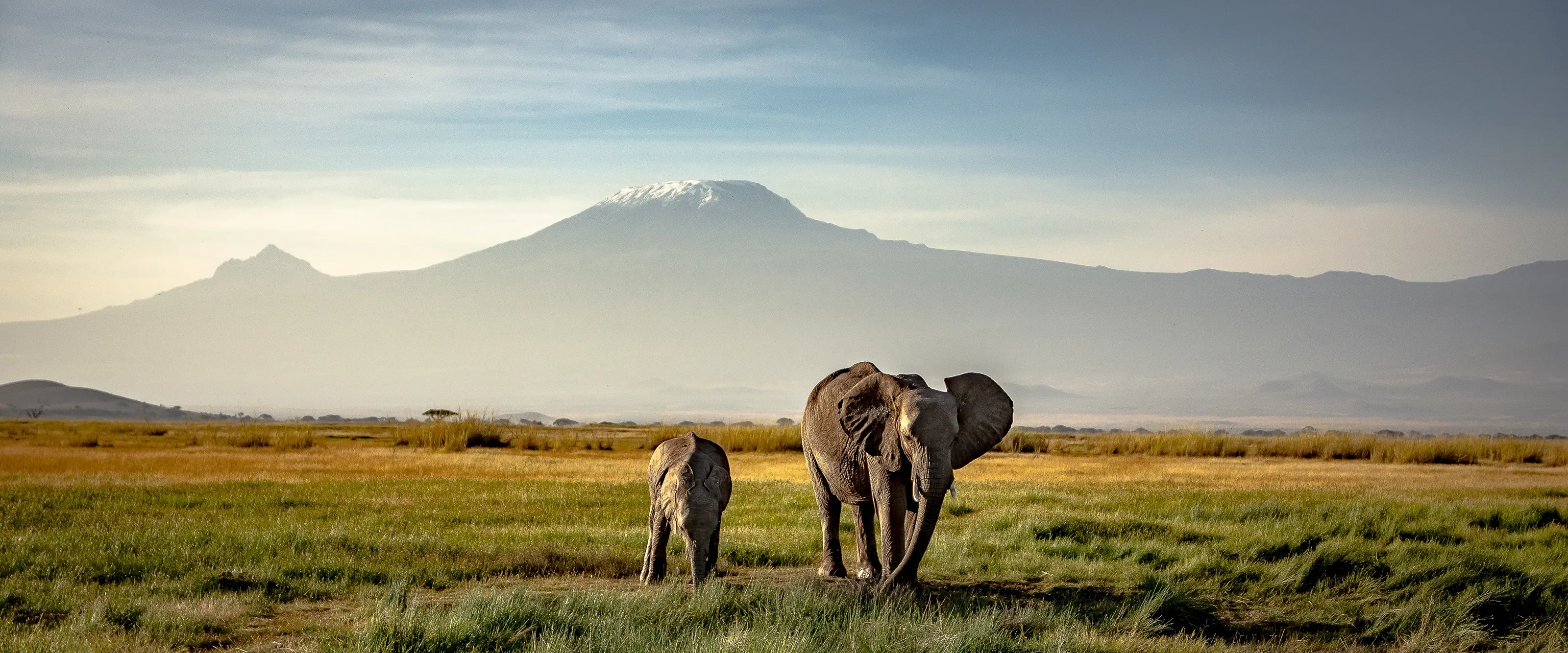 Safari landscape in Kenya